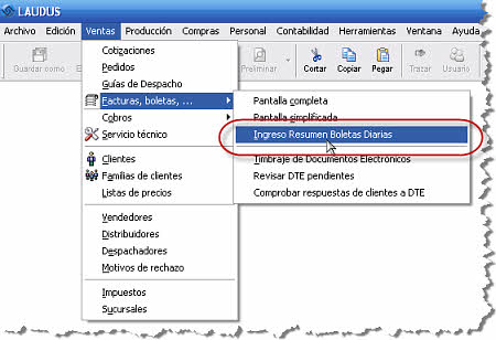 Menú Ingreso Resumen Boletas