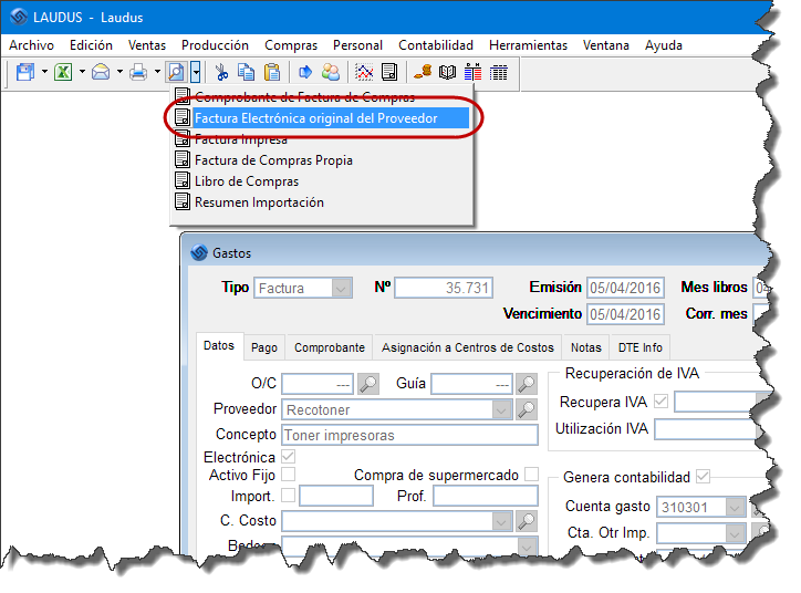 Factura Electrónica Impresa del Proveedor