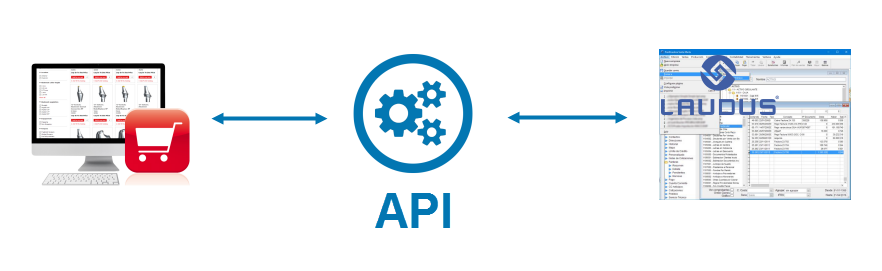 API Laudus